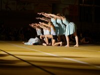 show (334)