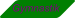 Gymnastik